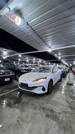 بي واي دي سيل 06 DM-i